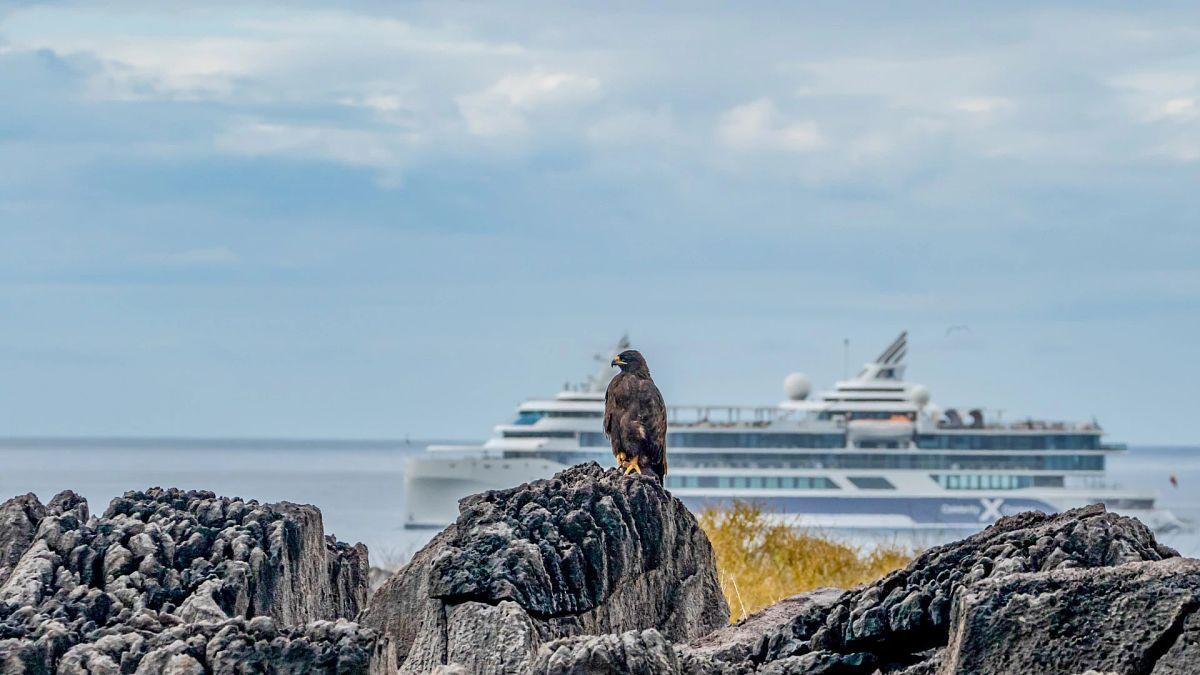 Galapagos 20% Savings on All Cruises & Cruise Packages